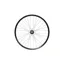  Rear 29 Fortus 30W - Pro5 6 bolt 150mm - Blue