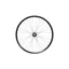  Rear 29 Fortus 30W - Pro5 6 bolt 150mm - Red