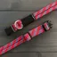Wilderdog Collar Maple