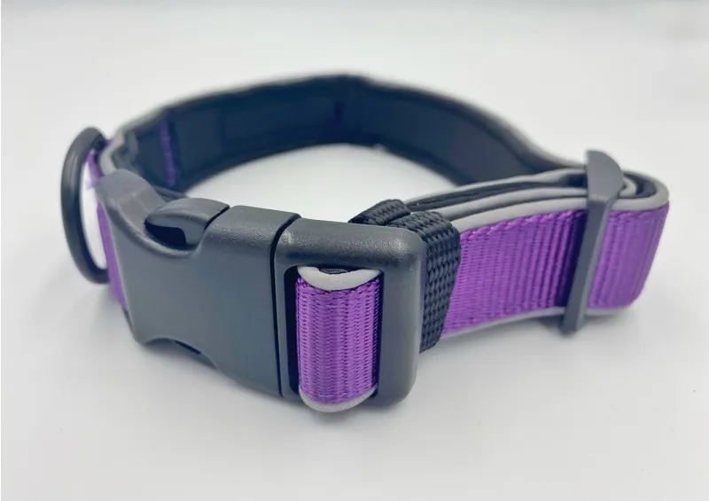 Bark+Ride Trail Collar Purple-1
