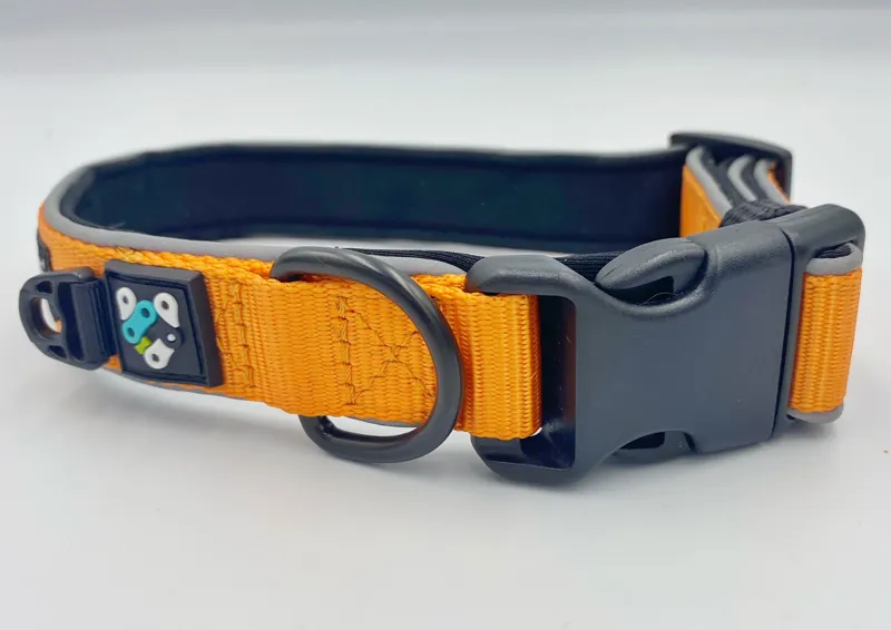 Bark+Ride Trail Collar Orange-1