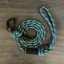 Wilderdog Pacific Blue Small Carabiner
