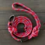 Wilderdog Maple Small Carabiner Leash