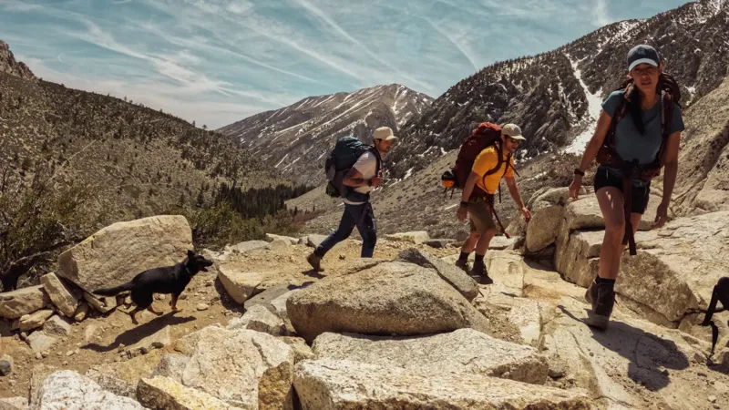 GoPro Shorty - Mini Extension Pole + Tripod-5