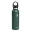 Hydroflask 21oz Standard Flex Cap - Fir